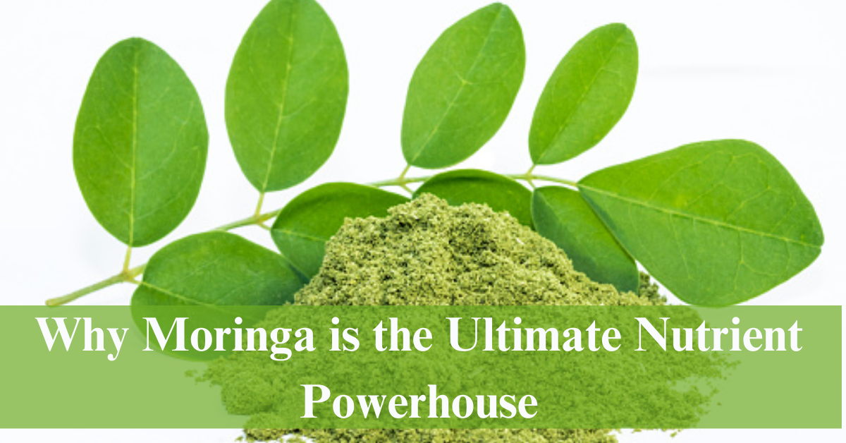 why moringa is the nutrient power house?